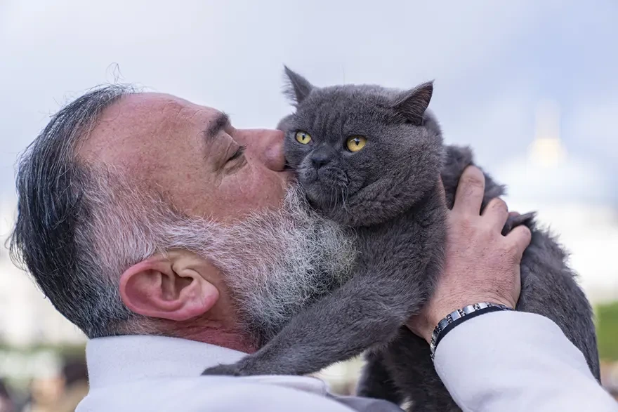 8 kilo pişiyi çiynində gəzdirir: Rəis və Pera İstanbulda ulduz oldu