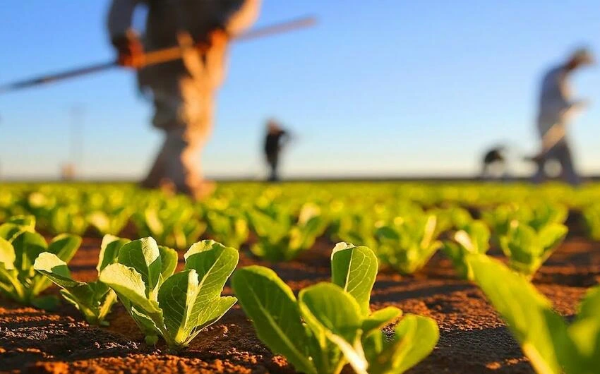 Azərbaycanda iş saatlarının ən yüksək olduğu sahələr məlum olub