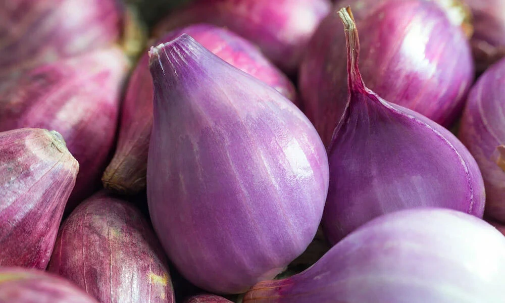 Yatmazdan əvvəl soğan yeyin!