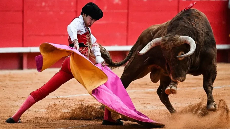İspaniyada buğa festivalində faciə: Bir tamaşaçı öldü