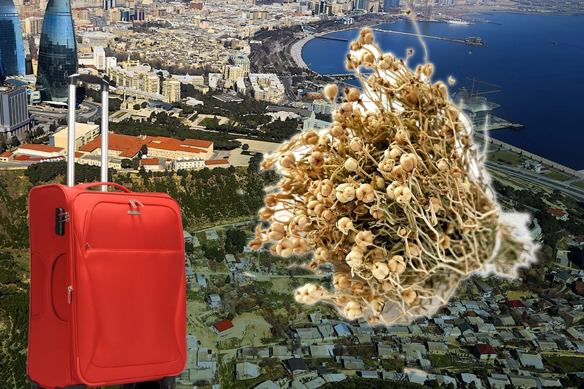 Üzərlik xəbərdarlığı Rusiyayla bağlı məsələdir - EKSPERT