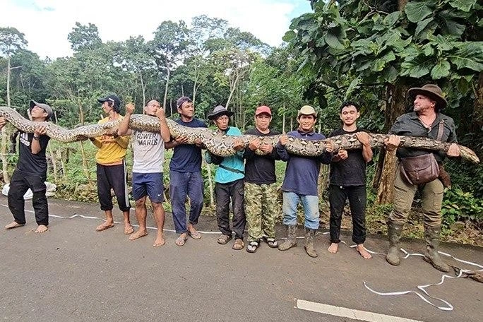 Dünyanın ən uzun ilanı bu ölkədə tapıldı