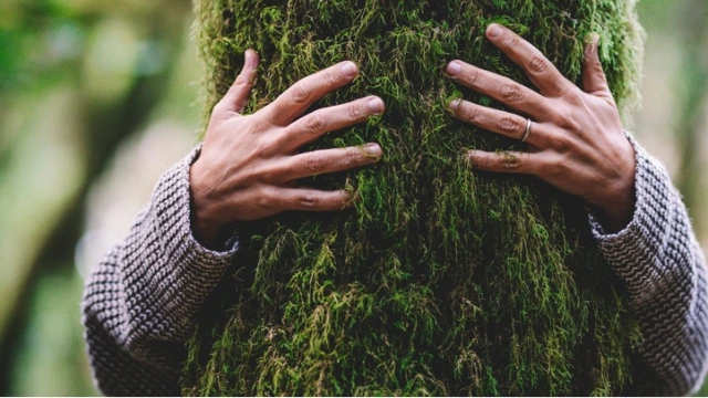 Sağlam insanların hər gün etdiyi vərdişlər