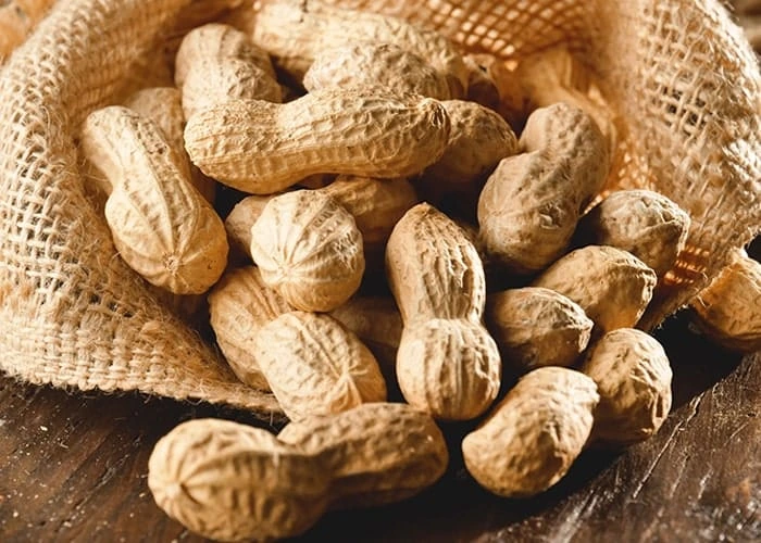 Alimlər yer fıstığının iki mühüm faydasını müəyyən ediblər