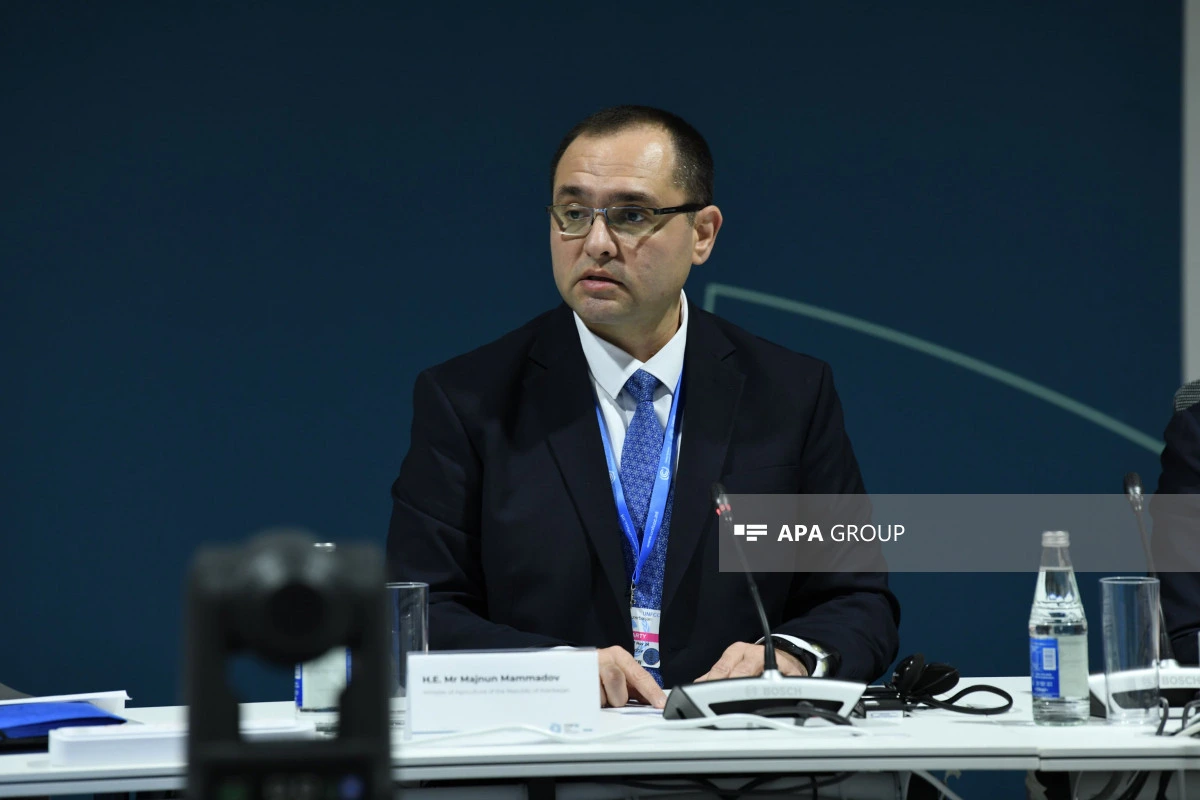 Kənd təsərrüfatı nazirinin müavinlərinin sayı artırılıb