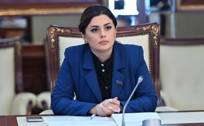 Azərbaycanın sülh xətti artıq qlobal gündəliyi formalaşdırır - RƏY