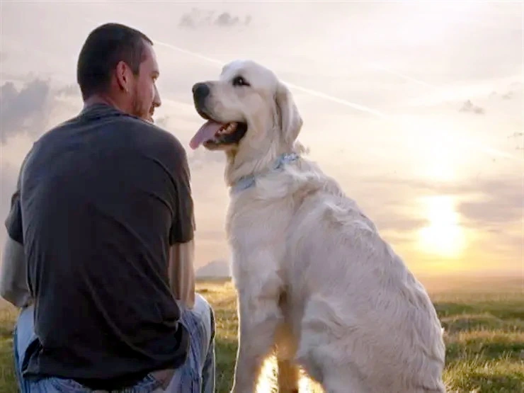 Çox uzağa getmək olmur