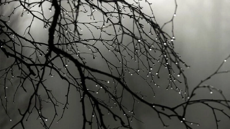 Sabahın havası açıqlandı