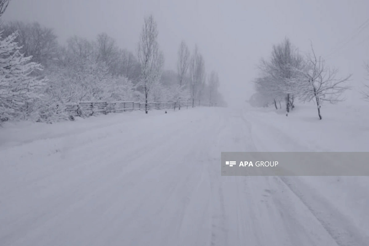 Zaqatalada qarın hündürlüyü 30 sm-dir - FAKTİKİ HAVA