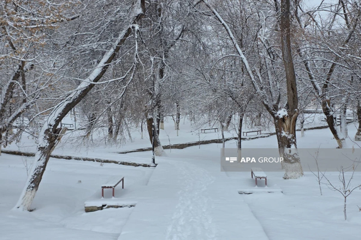 Bəzi rayonlarda qar yağacaq, yollar buz bağlayacaq - XƏBƏRDARLIQ
