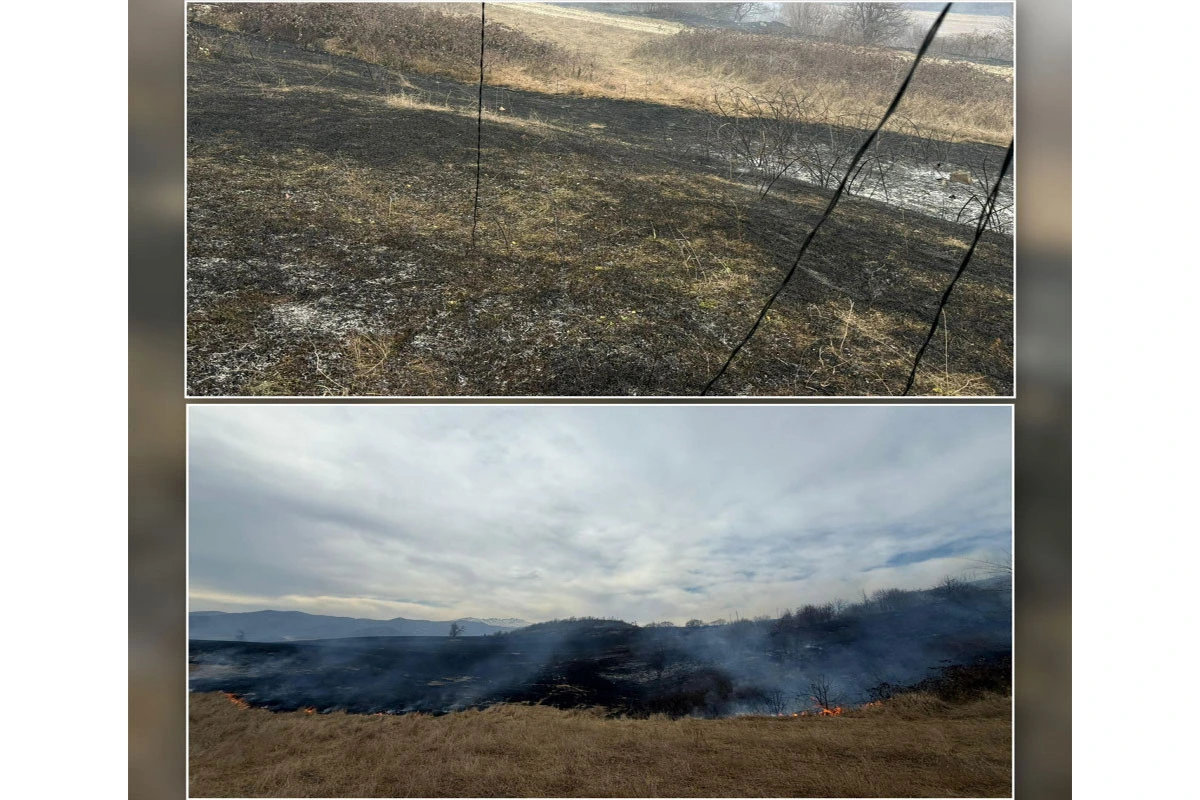 Xocalıda yanğına səbəb olan şəxs saxlanılıb - FOTO