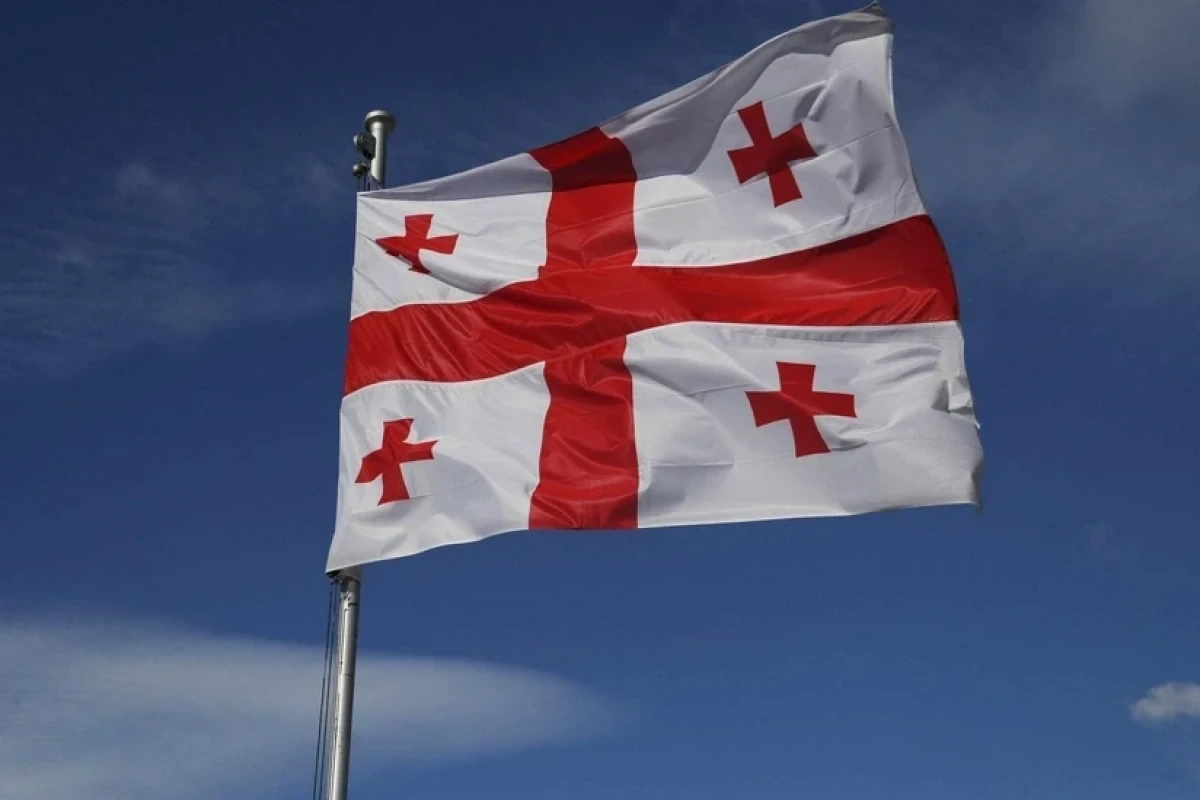 Gürcüstanda iş adamlarının siyasi fəaliyyəti qadağan ediləcək