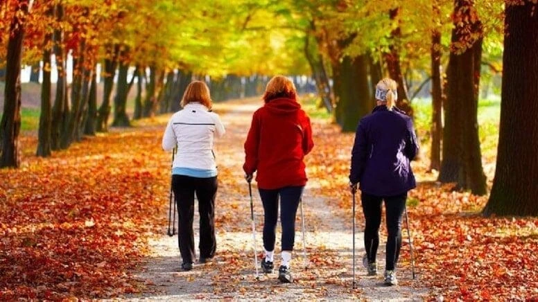 Dünyada ən çox piyada gəzməyi sevən ölkələr