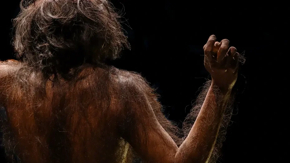 İnsanlığın ən qədim əcdadı tapılmış ola bilər