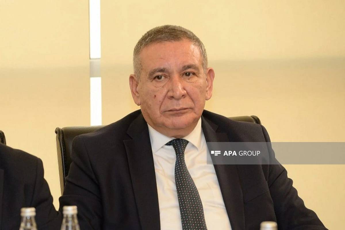 Rəşad Məcid: Saxta xəbərlər yayan media subyektlərində təlaş yarandığının şahidi oluruq