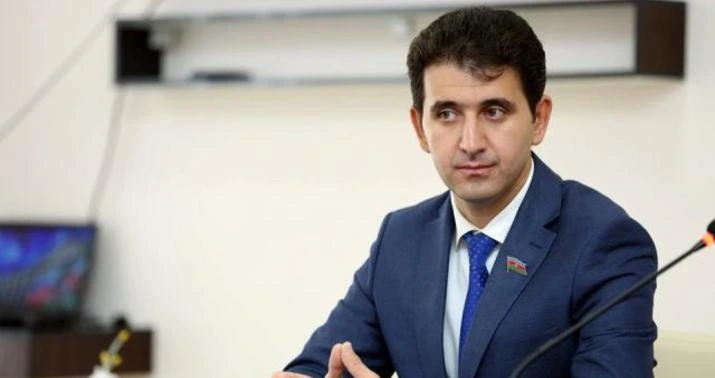 Deputat: Bəzi valideynlər uşaqları xarici dillərdə danışan dayələrə əmanət edirlər