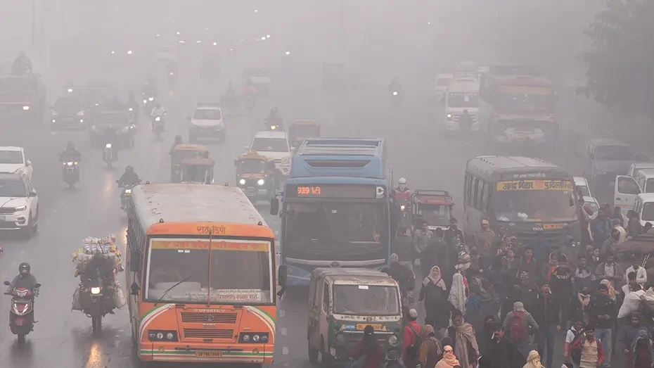 COVID-dən qat-qat ölümcül virus həyəcanı - Nipah Türkiyəyə çata bilərmi?