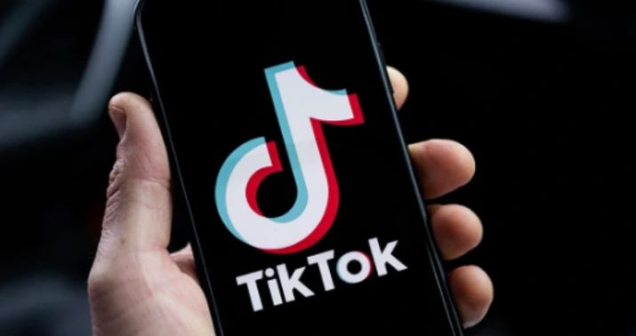 “TikTok”da qeyri-etik ifadələr işlədən şəxs həbs edildi