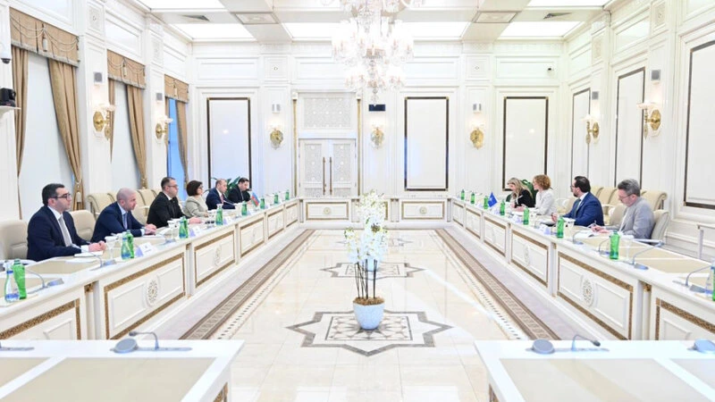 Milli Məclisin sədri NATO Baş katibinin müavini ilə görüşüb