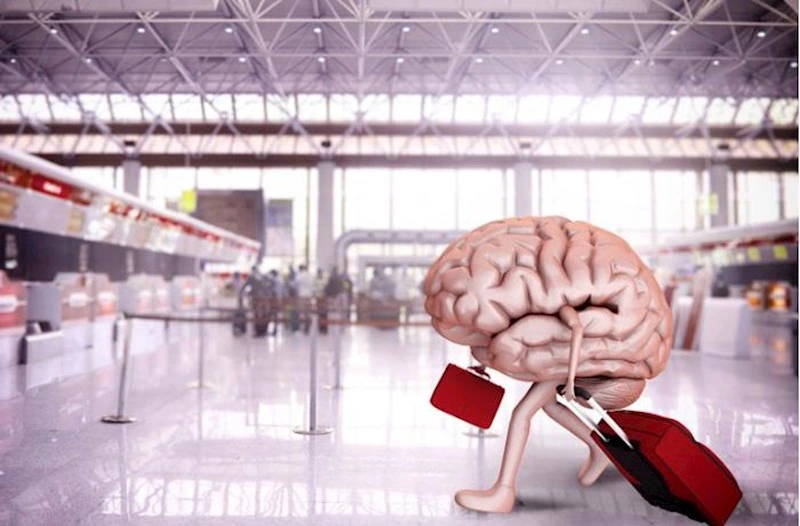 Beyin axınının qarşısı alınır: Dövlət proqramı dəyişdi, qaydalar sərtləşdi - EKSPERT RƏYİ