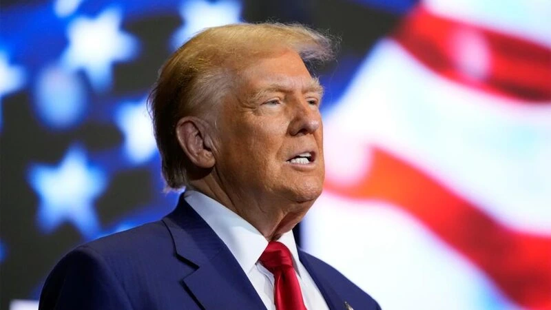 Tramp külək elektrik stansiyalarının milyonlarla quşu öldürdüyünü bildirib