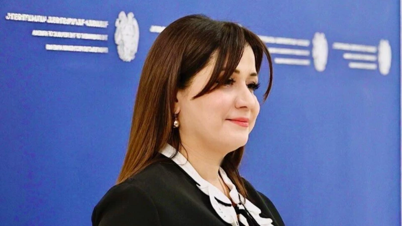 Nikol Paşinyanın mətbuat katibi istefa verdi