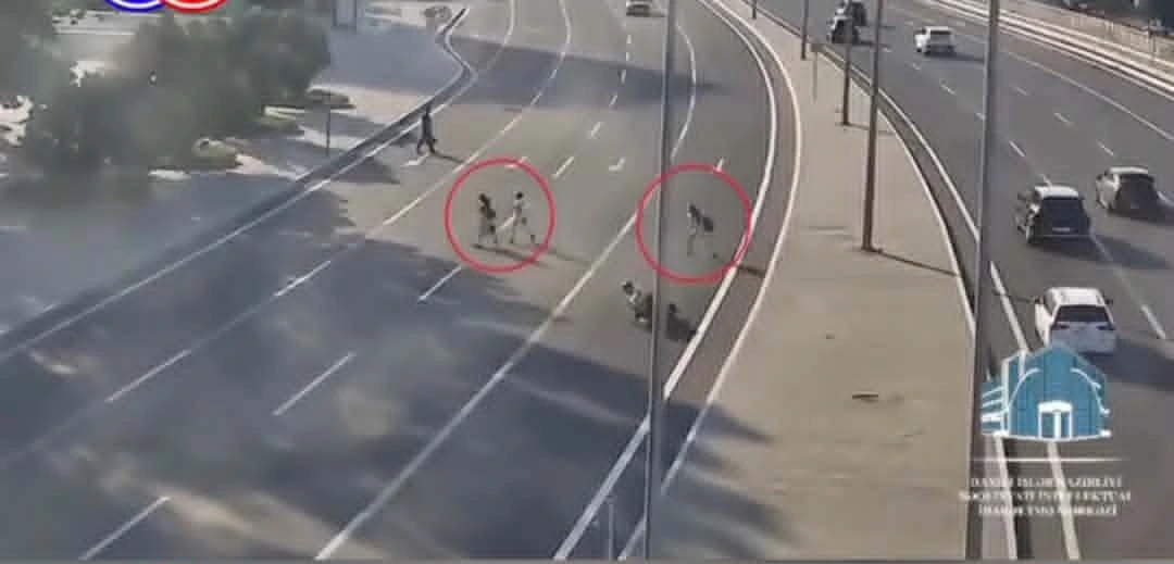 Bir piyadanın səhvi faciəvi qəzaya səbəb olur -&nbsp;Nəqliyyat ekspertindən İZAH