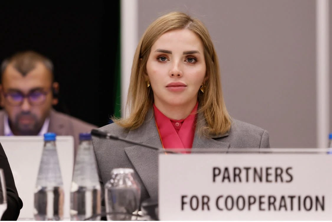 Yeganə Hacıyeva: TRIPP sazişi Cənubi Qafqazda yeni geosiyasi mərhələnin başlanğıcıdır
