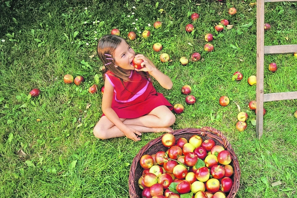 Meyvələr niyə vaxtından əvvəl tökülür? - Bağbanlar üçün 5 əsas səbəb