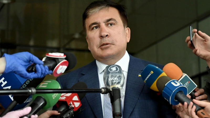 Saakaşvilinin hakimiyyətə qayıdışı ilə bağlı açıqlama