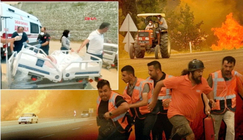 Türkiyədə üç vilayətdə meşə yanğınları: Xəstəxana boşaldıldı, magistral yol bağlandı