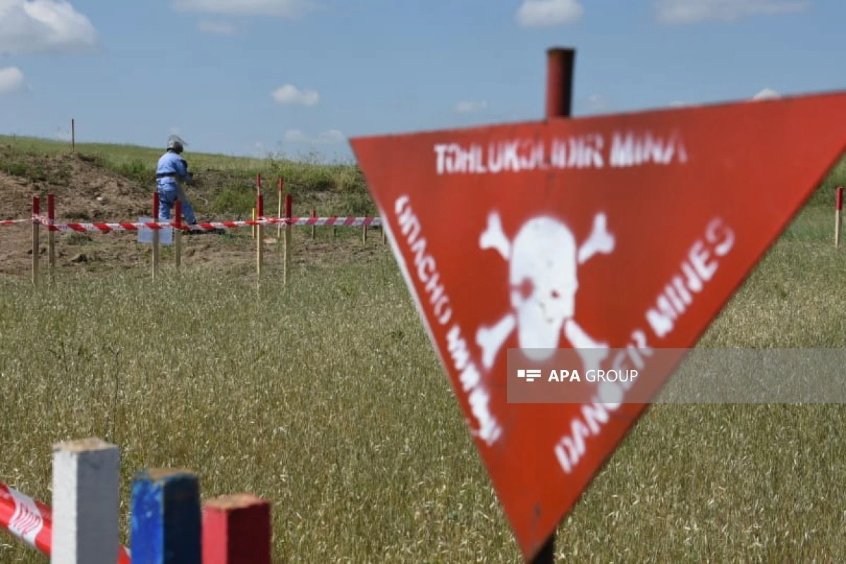 Altı ayda mina hadisələri nəticəsində 2 nəfər ölüb, 11 nəfər yaralanıb
