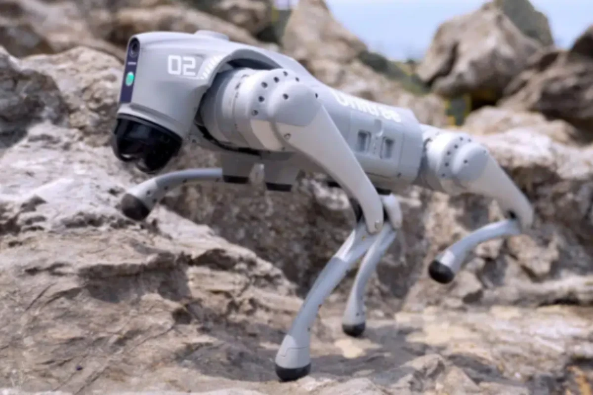 Qazaxıstanda ilk dəfə süni intellektə malik robot-it qanunu pozanları aşkarlayıb