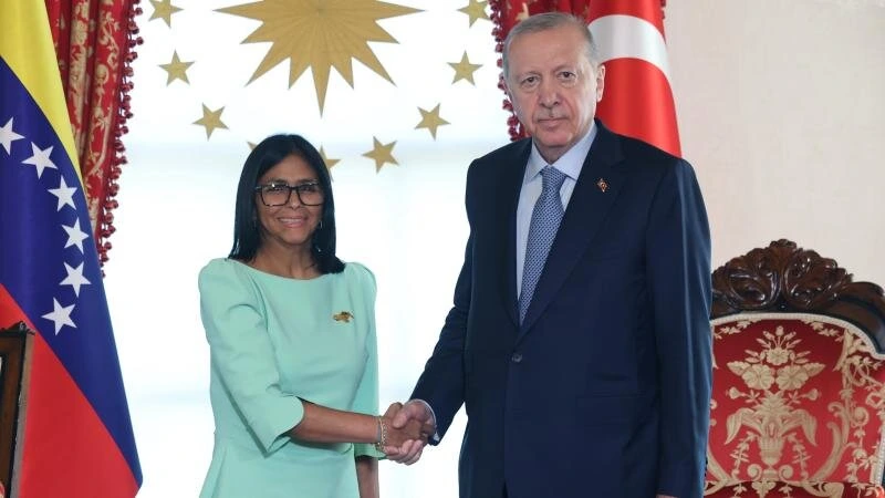 Ərdoğan Delsi Rodrigez ilə görüşüb