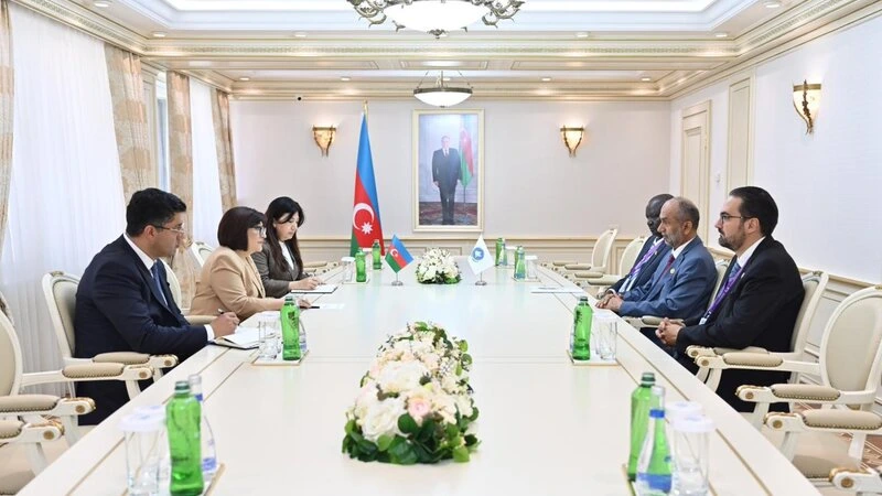 Sahibə Qafarova BƏƏ Federal Milli Şurası sədrinin birinci müavini ilə görüşüb