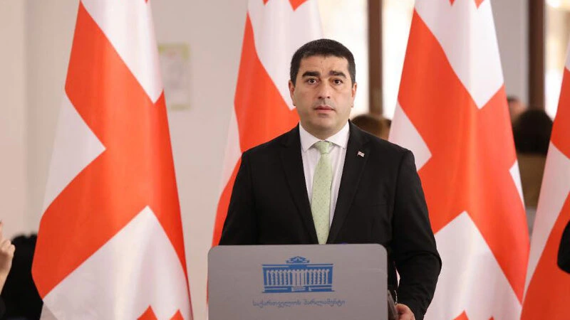 Gürcüstan rəsmisi: Rusiyaya sanksiya tətbiq etmək bizim üçün intihardır