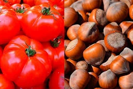 Rauf Qarayev: “Pomidor və fındıq ixracın lokomotividir”