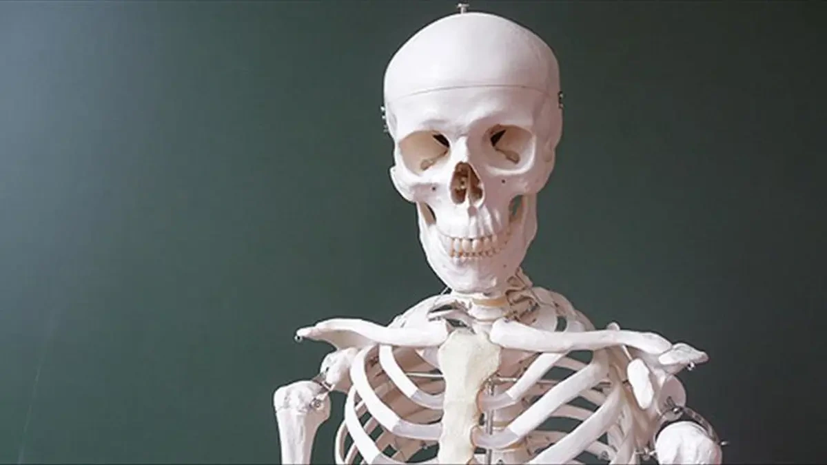 İqlim böhranı insan sağlamlığına təsir edir: Atmosferdəki karbon artımı sümükləri zəiflədir