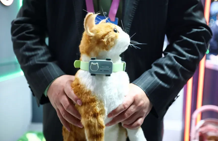 Ev heyvanları üçün ağıllı telefon - “PetPhone”