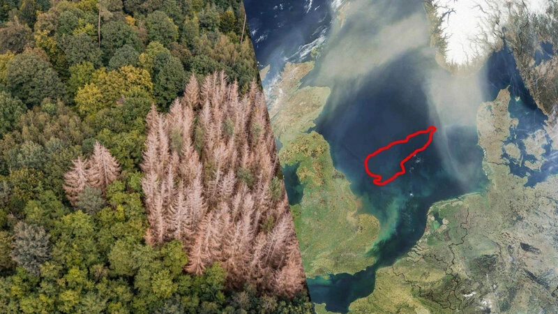 “İtmiş dünya” Şimal dənizinin dibində tapıldı