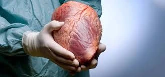 Donor ürəyi köçürülən insan nə qədər yaşayır?