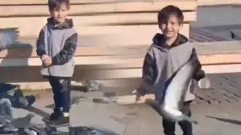 Göyərçinləri yemləyən 4 yaşlı uşaq həyatını itirdi