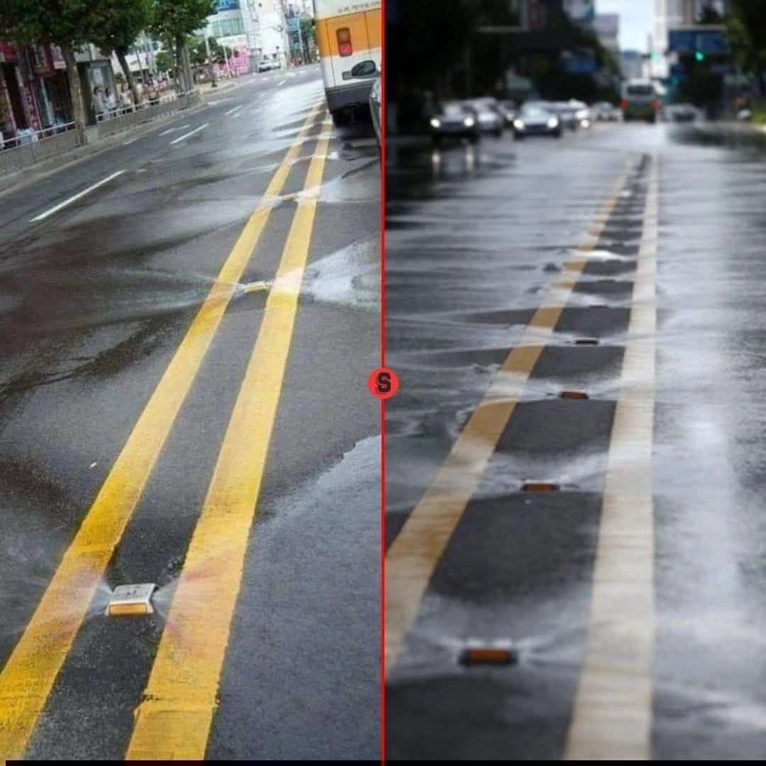 Ekoloq: Bu sulardan istifadə etsək su ehtiyaclarımızı ikiqat ödəyə bilərik