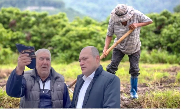 Kənd təsərrüfatı biznes kimi yaxşı fayda verə bilməz - İqtisadçı