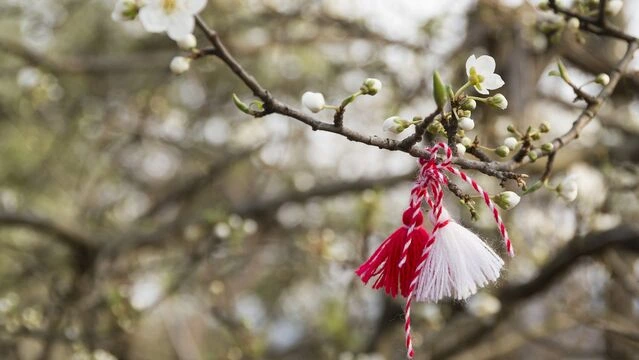 Baharın sirli simvolu: Balkanların qırmızı-ağ möcüzəsi Marteniçka