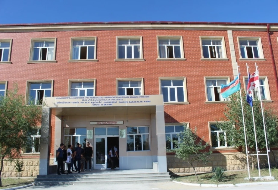 “Gürcü dili sektoru açılır, amma könüllüdür” - Aygül İsayeva