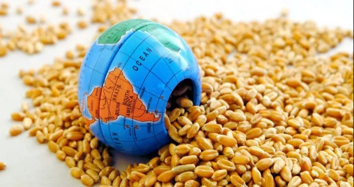 İran ətrafındakı münaqişənin nəticələri qlobal ərzaq böhranı riskini artırır