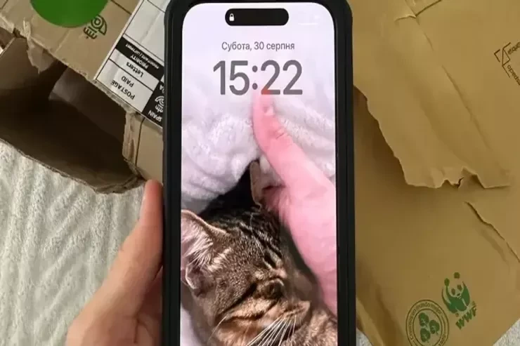 iPhone istifadəçilərinin NƏZƏRİNƏ: təcili iOS-u yeniləyin