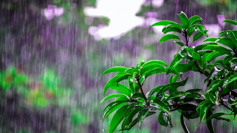 Yağış yağacaq, şimşək çaxacaq, dolu düşəcək - PROQNOZ