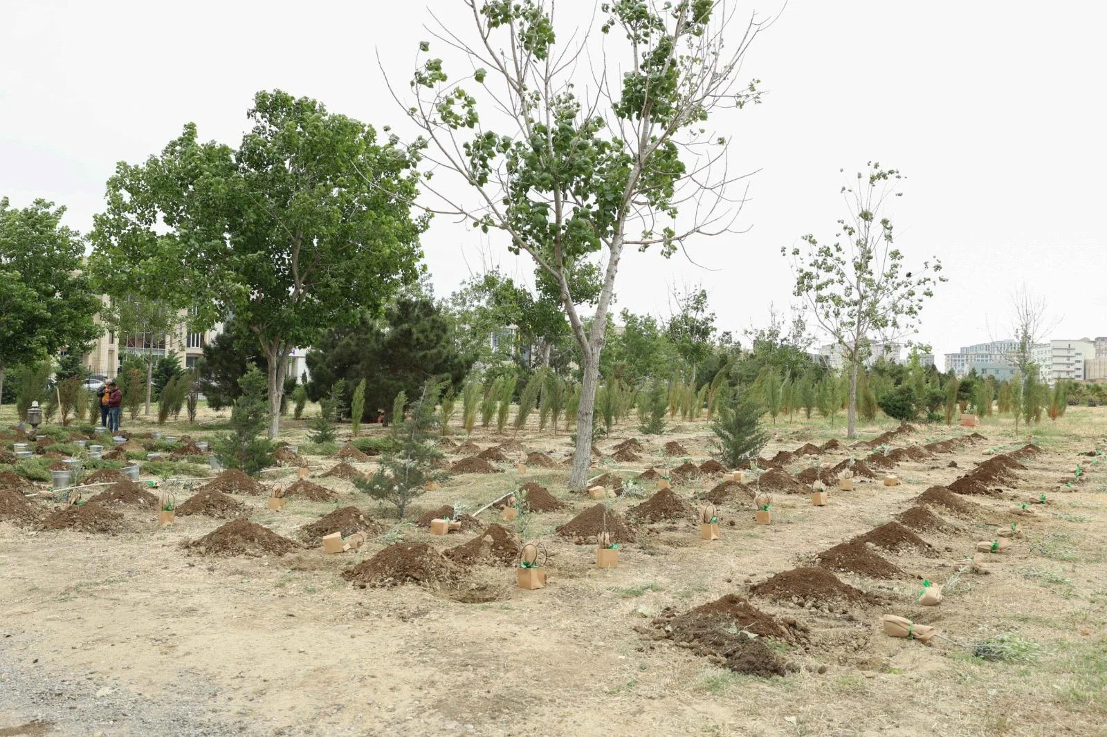 “Zeytun bağları” beynəlxalq elmi konfransa dəstək verib -FOTO